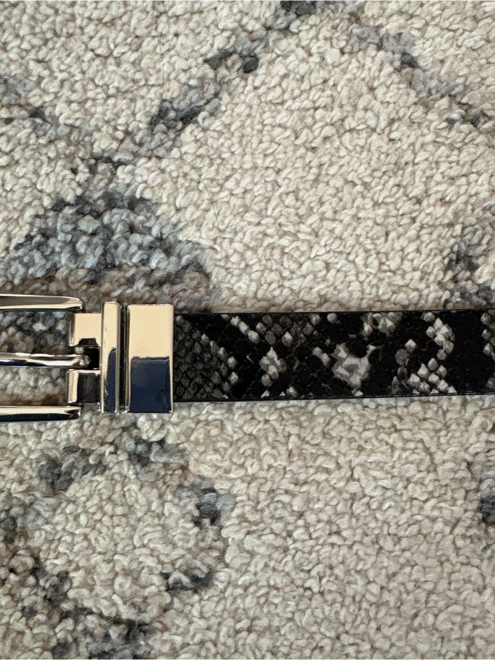 Black Snakeskin Belt with Silver Buckle